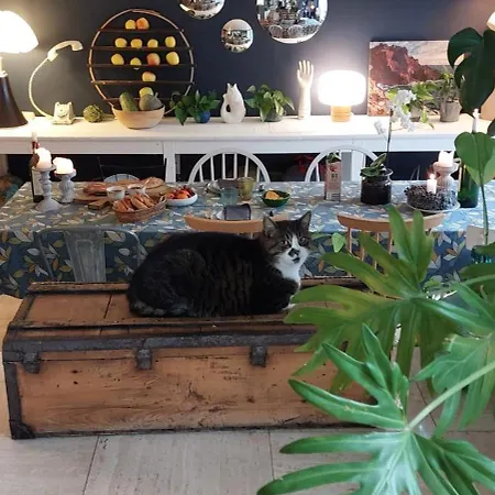 Cati's Greenhouse - D'hotes Cosy Et Calme A 700m Du Rer B Bures-sur-Yvette