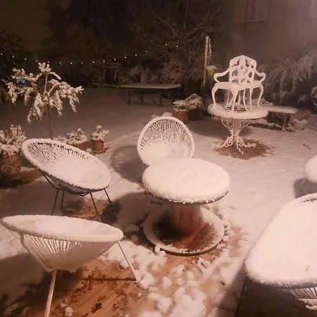 Bed & Breakfast Cati's Greenhouse - D'hotes Cosy Et Calme A 700m Du Rer B